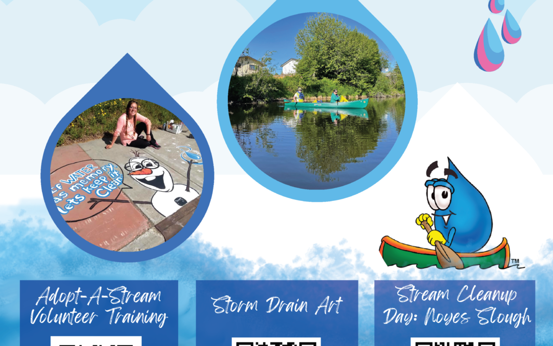 Stream Clean Up day 2024 – Save the dates!