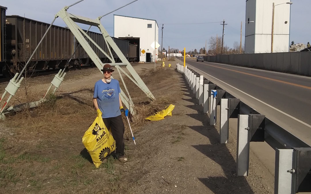 Clean Up Day 2020 Results